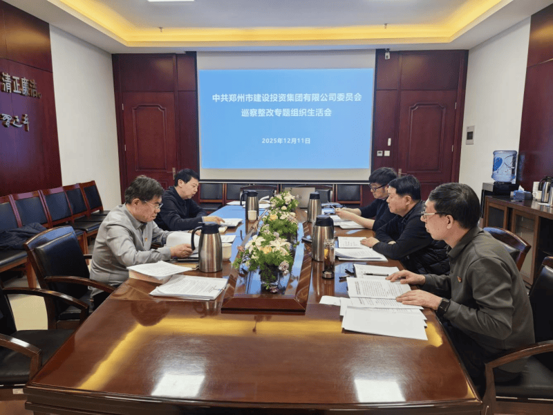 集團黨委召開巡察整改專題組織生活會